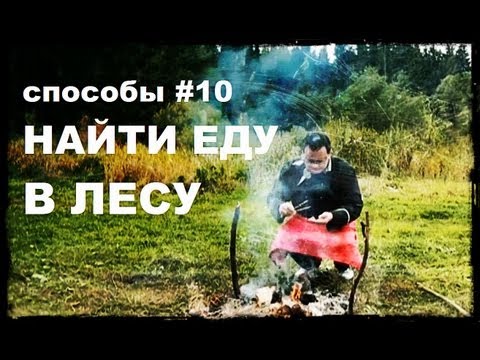 Видео: Галилео. Способы 10. Найти еду в лесу