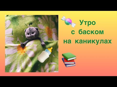 Видео: Утро с басиком на каникулах