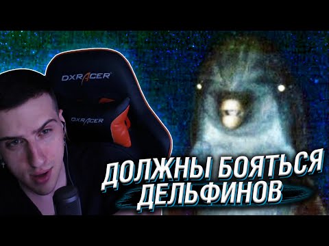 Видео: Hellyeahplay смотрит: Весь Мир Должен Бояться Дельфинов, а не Акул