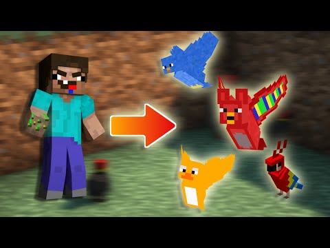 Видео: MINECRAFT БИ БАРАГ Л ШУВУУНЫ  FARMЭР БОЛЛООО. 🐔 EP3