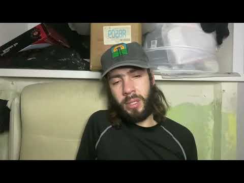 Видео: суперпозиция — это когда ты ни жив ни мертв 