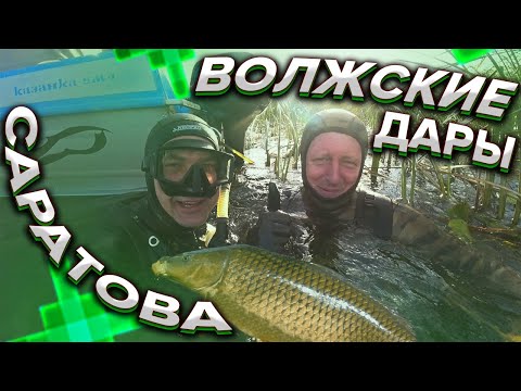 Видео: ПОДВОДНАЯ ОХОТА НА САЗАНА   СОМА   ЩУКУ   КАРАСЯ   ЛИНЯ