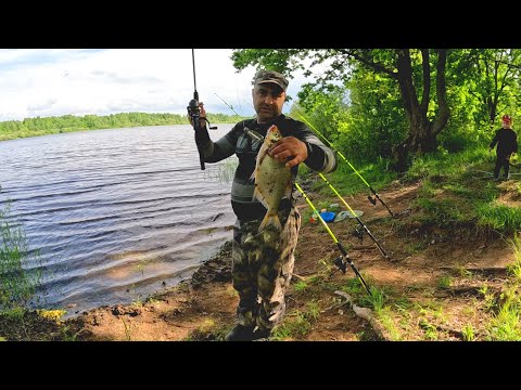 Видео: Отличная Рыбалка на донки Крокодил с необычным итогом! Такого никто не ожидал!