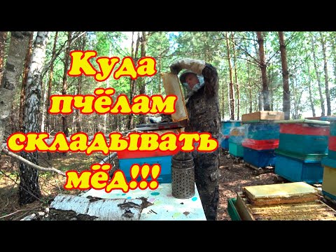 Видео: НА ТОЧКЕ №2 ЭКСТРЕННО ОТБИРАЮ МЁД У ТЕХ СЕМЕЙ КОТОРЫЕ ЗАЛИЛИСЬ.