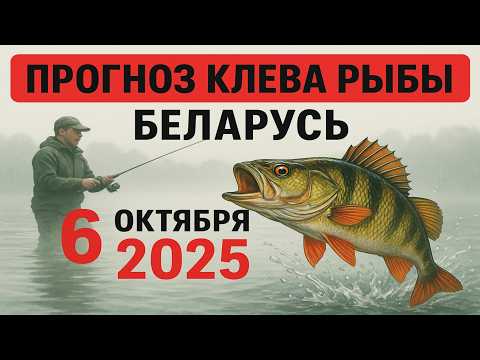 Видео: ПРОГНОЗ КЛЁВА в Беларуси на 6 октября 2025 года: Бросай все и на рыбалку!