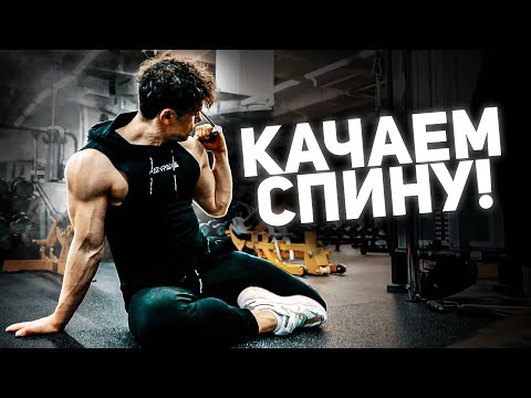 Видео: ШИРОКАЯ СПИНА / топ новых гайдов для широкой спины