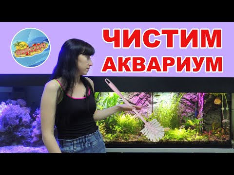 Видео: Как чистить аквариум. Простые правила кристально чистой воды.