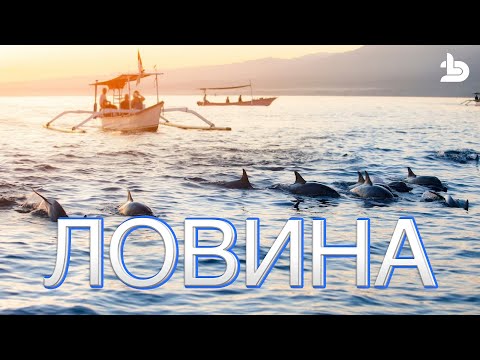 Видео: РАЙОНЫ БАЛИ часть 9: Ловина