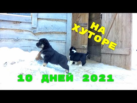 Видео: ЧЕМ ЖИЛ ХУТОР ЗАГАЙКИ В ПРАЗДНИКИ