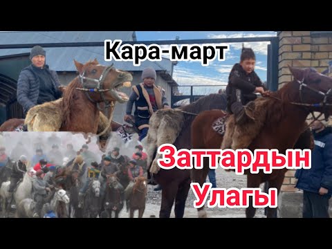 Видео: Заттардын улагы