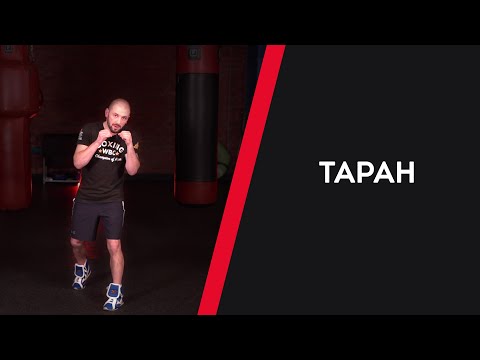 Видео: ТАРАН — УРОКИ БОКСА ОТ НИКОЛАЯ ПОТАПОВА
