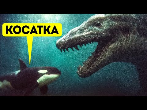 Видео: Морские монстры, в существование которых трудно поверить