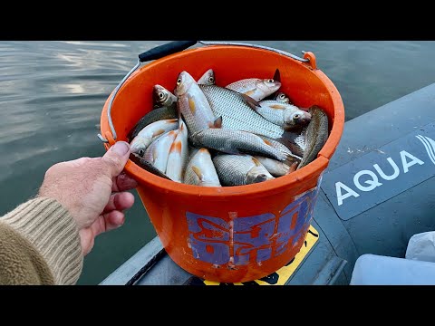 Видео: Ловлю ЖИРНУЮ ПЛОТВУ на зимнюю удочку!!!