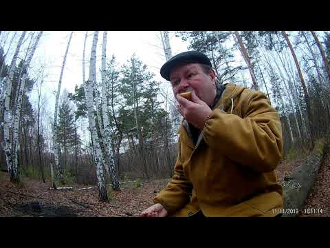 Видео: Обед в лесу  Жареное сало  Квашеная капуста  Картошка