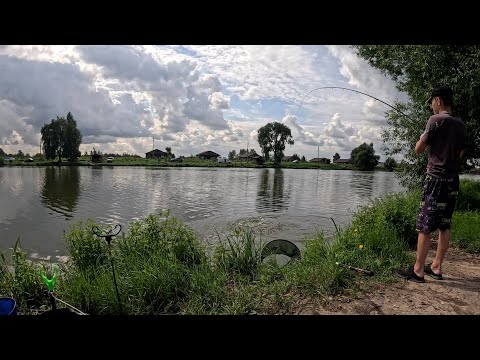 Видео: Ловля КАРПА на ФИДЕР 2025 • Платник Лагуна Игумное