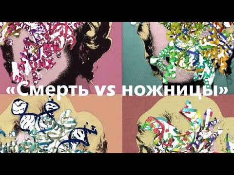 Видео: Смерть vs ножницы