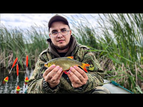 Видео: В ЭТОМ ОЗЕРЕ ОЧЕНЬ МНОГО РЫБЫ! С ЖЕНОЙ ВДВОЕМ НА ЛОДКЕ! РЫБАЛКА НА ПОПЛАВОК! ПЕРВЫЙ ВЫЕЗД!
