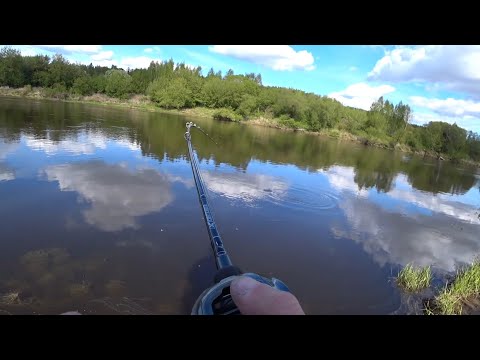 Видео: РЫБАЛКА НА ЩУКУ, река ДНЕПР!!!