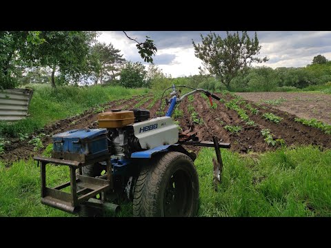 Видео: Найгірше підгортання картоплі за всі часи,невдалі спроби з тяжким мотоблоком та трішки краще легким.