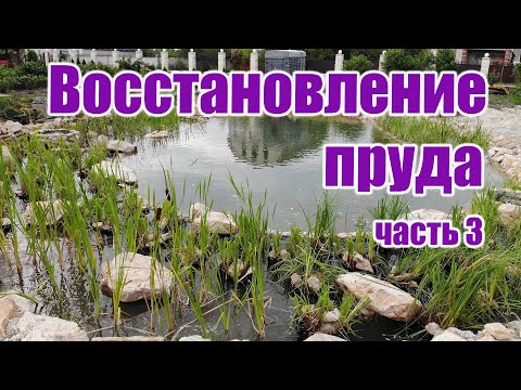 Видео: Восстановление пруда (часть3)