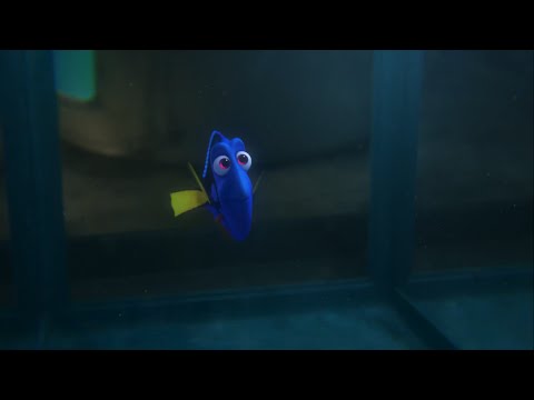 Видео: В поисках Дори — Русский трейлер #2 (2016)