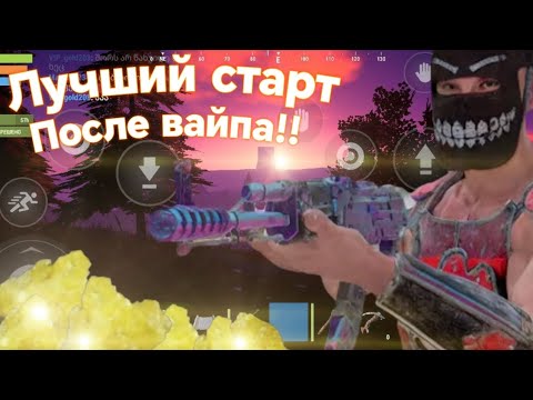 Видео: Лучший старт после вайпа🤑!! Вайп на двух недельном сервер❤️👋
