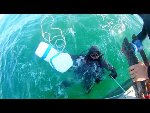 Видео: Один день водолаза промысловика Рапана