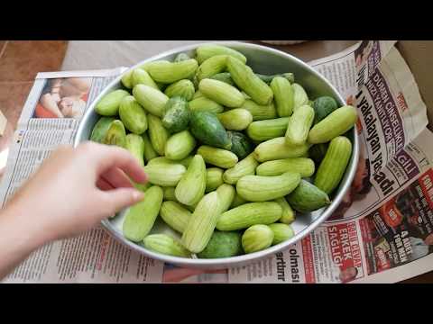 Видео: СВЕКРОВЬ НА КУХНЕ  / ТУРЕЦКИЕ СОЛЕНЬЯ / ИЗМИР ТУРЦИЯ