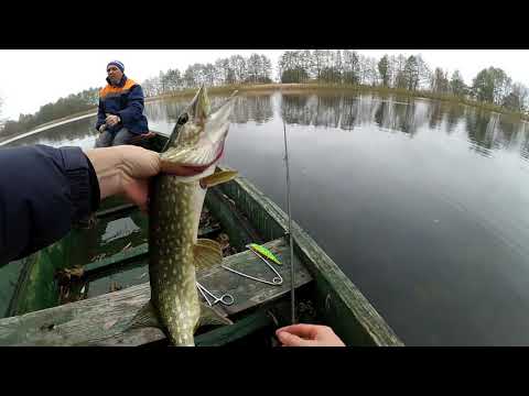 Видео: 2-ва. часа рыбалки на Сейму! (Курская обл.)  Ловля осенней щуки твичингом.  Жор щуки.