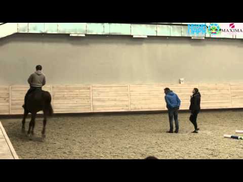 Видео: Мастер-класс для конкуристов с Куртом Гравемайером  в Maxima Stables  2- 1