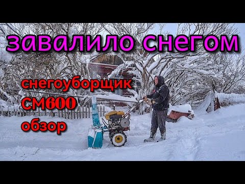 Видео: Снегопад в деревне. Тест снегоуборщика СМ600