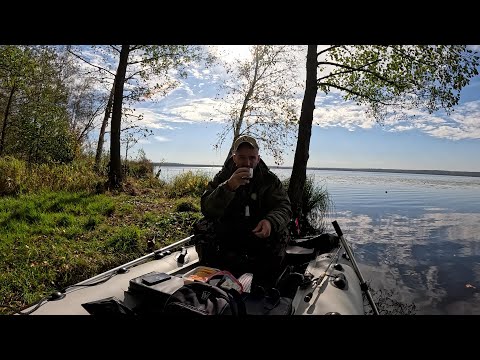 Видео: ПЕРВАЯ ОСЕННЯЯ ВЫЛАЗКА-РАЗВЕДКА