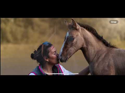 Видео: Покойся с миром, наш сладкий малыш.