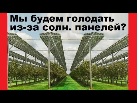 Видео: Какую еду выращивают под солнечными панелями