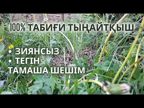 Видео: ТАБИҒИ | Тегін ТЫҢАЙТҚЫШ