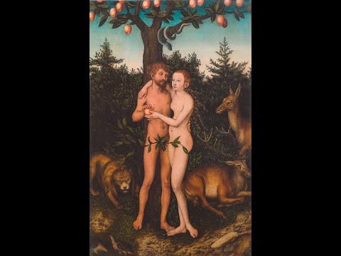 Видео: Сотворение женщины. Грехопадение. Обличение людей