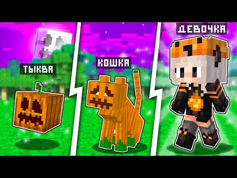 Видео: КАК МЕНЯЛАСЬ ДЕВУШКА ТЫКВА ОЦЕЛОТ И ЕЁ ЖИЗНЕННЫЙ ЦИКЛ! МАЙНКРАФТ ЭВОЛЮЦИЯ СВЕТИЛЬНИК ДЖЕКА!