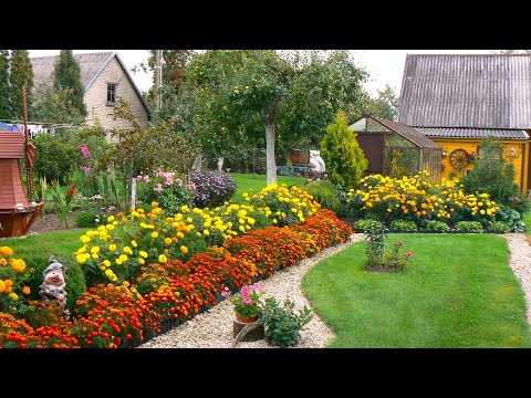 Видео: Великолепные примеры садового декора / Make your garden beautiful Inspiration ideas