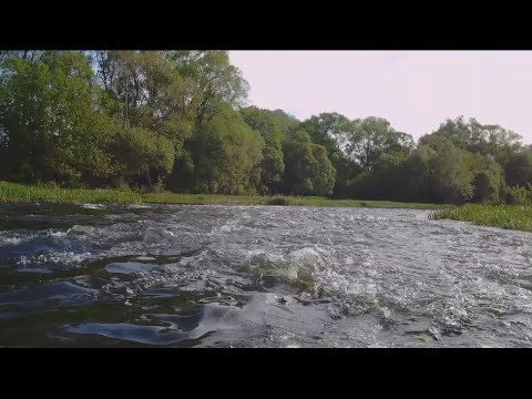 Видео: Любимый голавлиный перекат