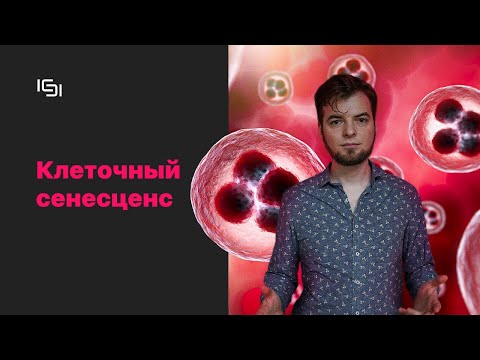 Видео: Клеточный сенесценс