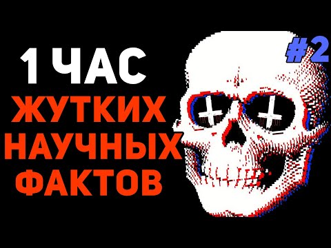 Видео: 1 ЧАС СТРАШНЫХ НАУЧНЫХ ФАКТОВ #2 ☠️
