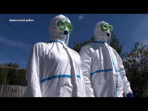 Видео: Учение по ликвидации очага оспы овец