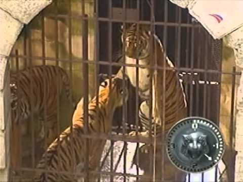 Видео: Форт Боярд 2003 часть 7