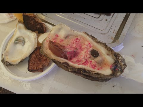 Видео: 15. Ежи Устрицы Гребешки озеро Буссе Сахалин август 2024