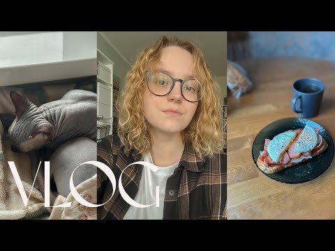 Видео: влог | борьба с тревогой, уборка и покупки для кота