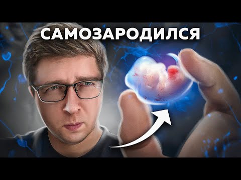 Видео: Эмбрион зародился ИЗ КЛЕТОК КОЖИ: у него мозг и сердце | Пушка #40