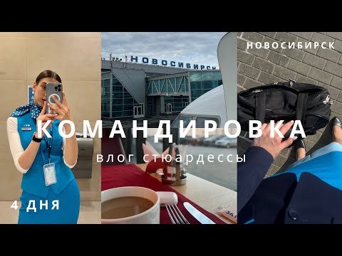 Видео: Командировка стюардессы | Новосибирск, влог