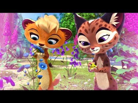 Видео: 🐾 Лео и Тиг 🐾  – 🌺 Пушистые красавицы 💐 | Мультик для детей про животных