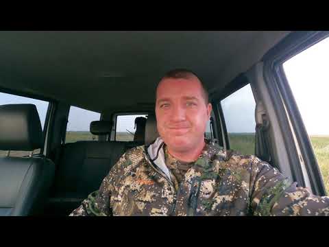 Видео: Охота на тетерева с легавой 2021 Без масок!) собака сломалась у меня истерика!)