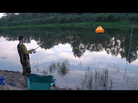Видео: Рыбалка с эхолотом практик 7 Wi-Fi Рыбалка на Фидер в Июле